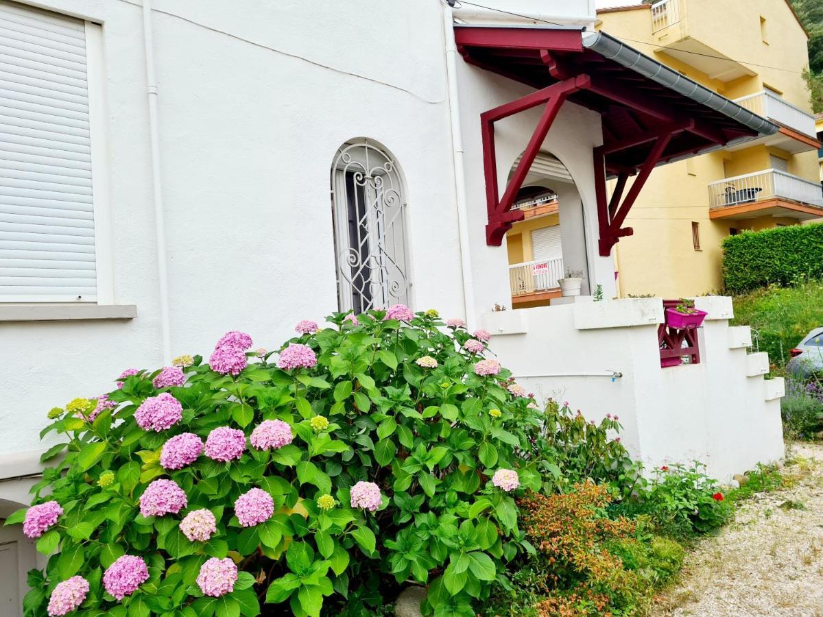 Villa La Closeraie Amélie-les-Bains-Palalda Extérieur photo